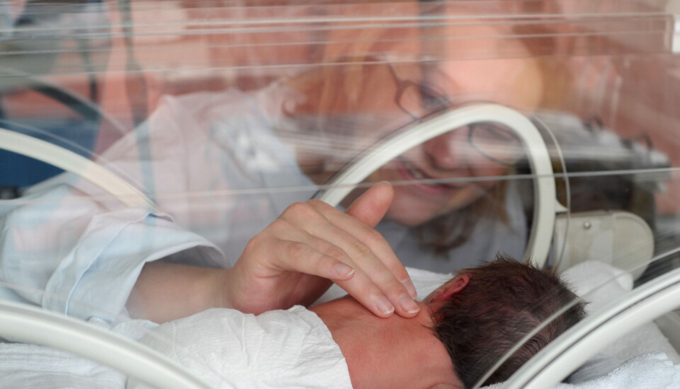 PRIORITERES: Et legemiddel for å forebygge luftveisinfeksjoner forårsaket av respiratorisk syncytialvirus (RSV) hos spedbarn får nå spesiell prioritering av EMA. Foto: