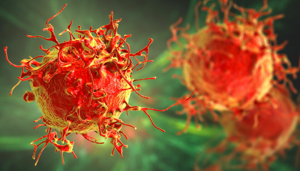 PRESENTERER: Det norske kreftselskapet Ultimovacs skal presentere data på kreftvaksinen UV1 i kombinasjon med ipilimumab på Society for Immunotherapy of Cancers (SITC) som avholdes i Washington DC. USA. Illustrasjonsbilde av hudkreft-celler: Getty Images Foto: