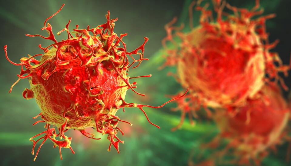 PRESENTERER: Det norske kreftselskapet Ultimovacs skal presentere data på kreftvaksinen UV1 i kombinasjon med ipilimumab på Society for Immunotherapy of Cancers (SITC) som avholdes i Washington DC. USA. Illustrasjonsbilde av hudkreft-celler: Getty Images Foto: PRESENTERER: Det norske kreftselskapet Ultimovacs skal presentere data på kreftvaksinen UV1 i kombinasjon med ipilimumab på Society for Immunotherapy of Cancers (SITC) som avholdes i Washington DC. USA. Illustrasjonsbilde av hudkreft-celler: Getty Images Foto: