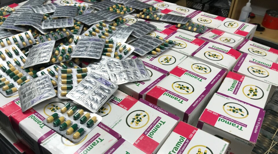 ENORME BESLAG: Dette bildet, tatt av tollvesenet på Gardermoen lufthavn 4. juni i fjor, viser deler det største enkeltbeslaget av tramadol-tabletter noensinne - 184 000 tabletter. Nå vil SLV ha virkestoffet på narkotikalisten. Foto: Tolletaten