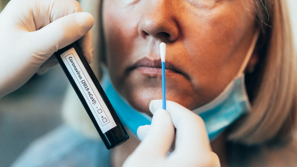 SELVTEST GODKJENT: – Nå som verden forbereder seg på gjenåpning, vil høykvalitets, hjemmebaserte tester spille en viktig rolle i kampen mot pandemien, sier Thomas Schinecker, administrerende direktør i Roche Diagnostics. Illustrasjon: Getty Images Foto: