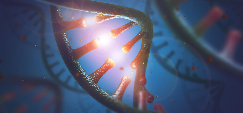 Foto: iStock/Getty Images
