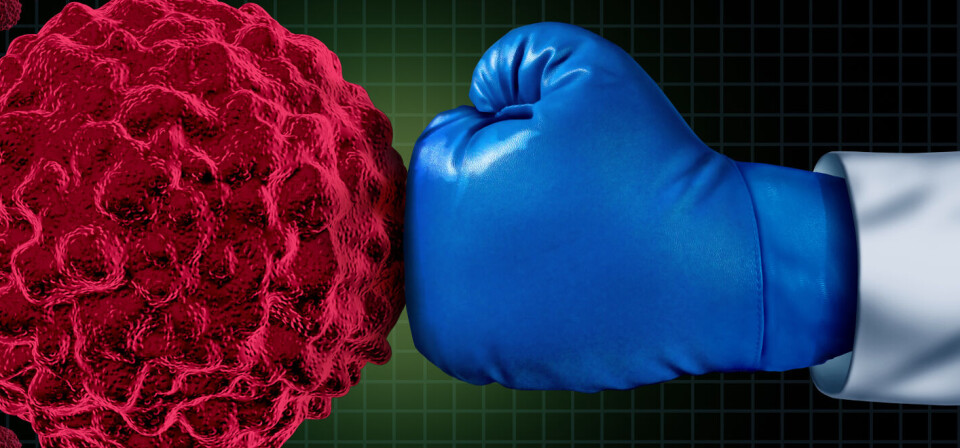 Foto: Thinkstock