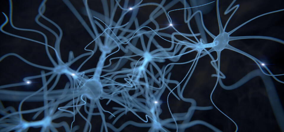 Foto: iStock/Getty Images
