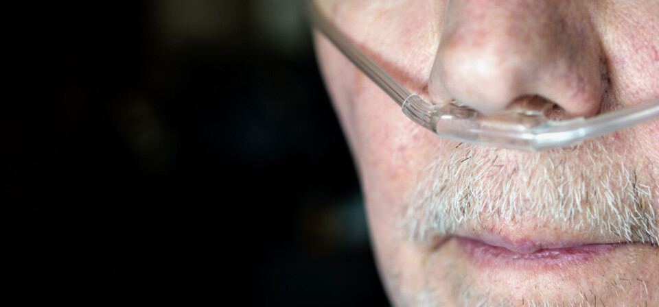 Foto: iStock/Getty Images