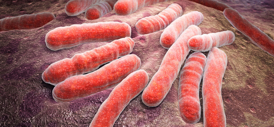 Foto: Thinkstock