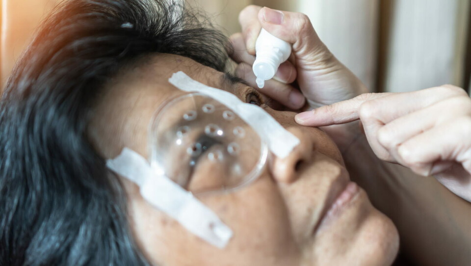 STORT POTENSIALE: «Arctos-teknologien begrenser seg ikke bare til et spesifikt gen, og kan derfor potensielt adressere mange former av IRD-er, uavhengig av underliggende mutasjoner», skriver Novartis. Illustrasjon: Getty Images Foto: