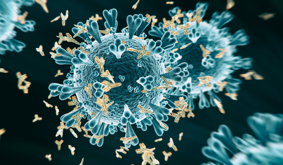 GSK og Vir Biotechnology sin COMIT-TAIL studie for antistoff mot covid-19 møtte sitt primære endepunkt. Illustrasjonsbilde av antistoff mot covid-19: Getty Images Foto: