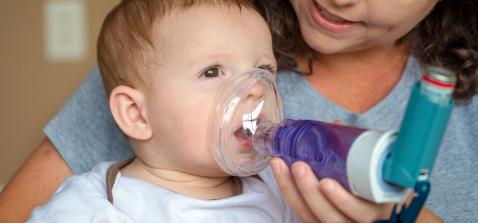 Foto: iStock/Getty Images