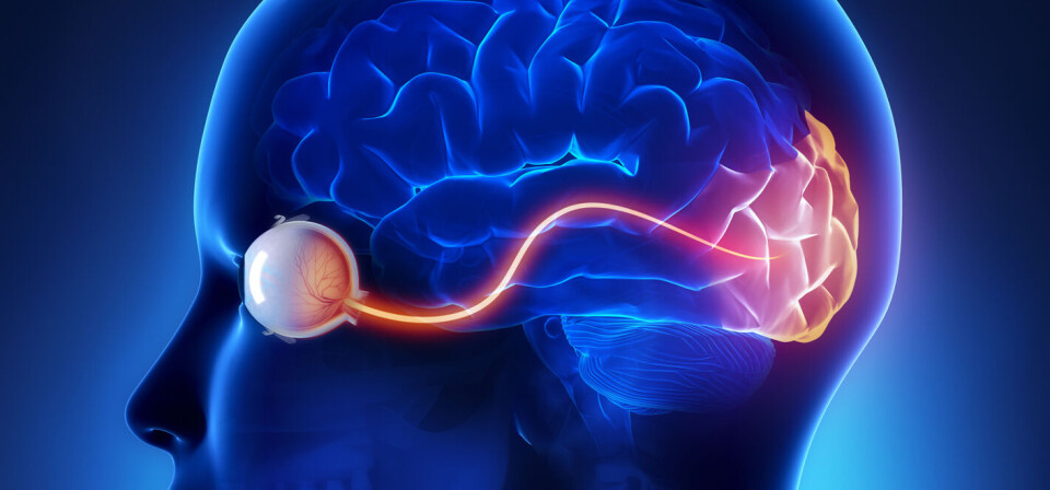 Foto: Thinkstock