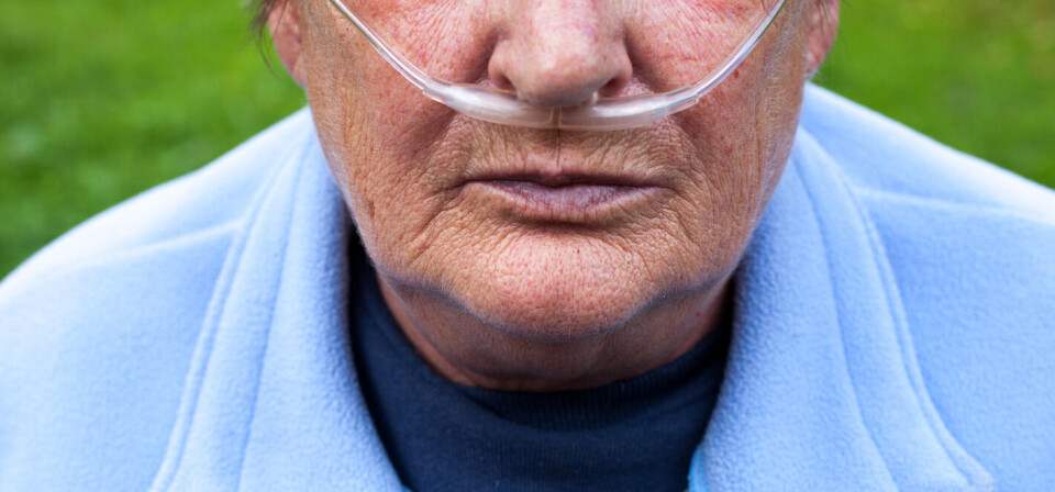 Foto: iStock/Getty Images