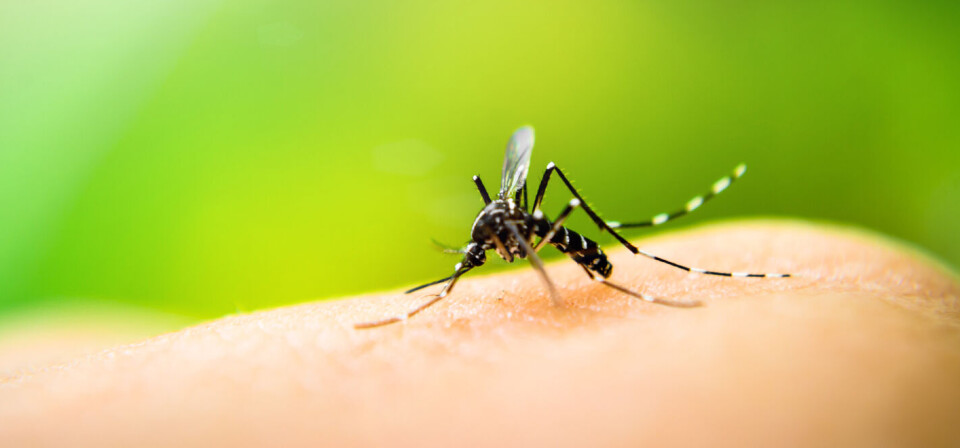Foto: Thinkstock