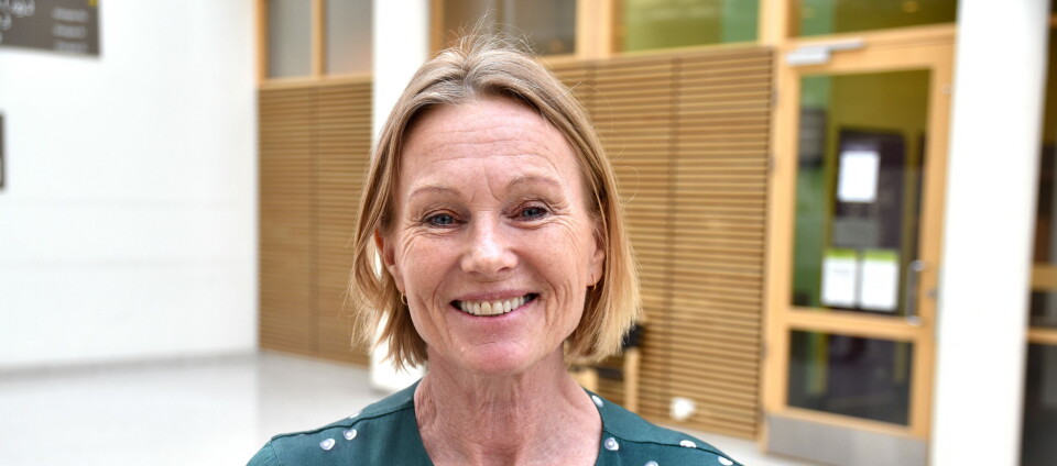 Monica Larsen, seniorrådgiver i Legemiddelindustrien (LMI), har troen på at tiltakene i Helsenæringsmeldingen kan bidra til en styrking av legemiddelindustrien i Norge. Foto: Lars Brock Nilsen