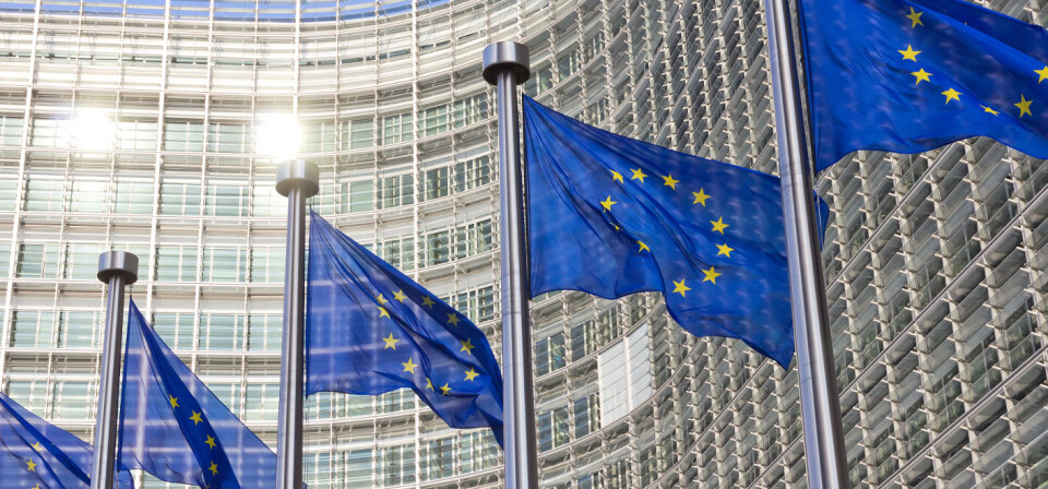 Foto: iStock/Getty Images