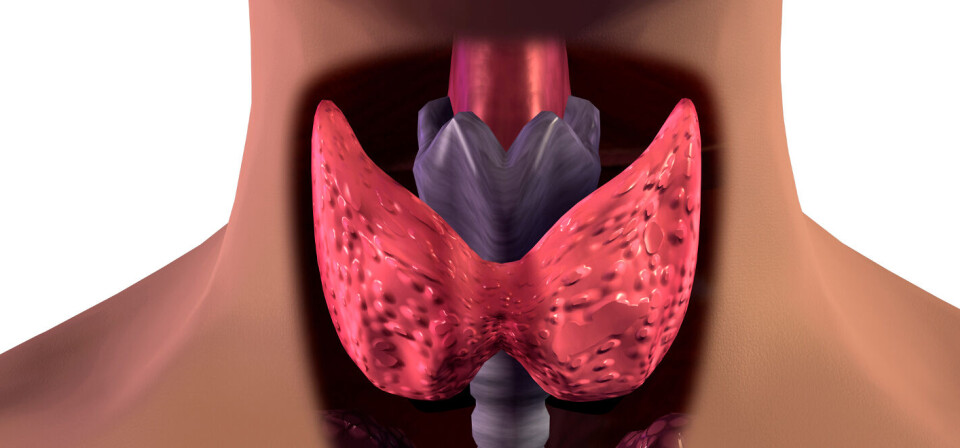 Foto: Thinkstock