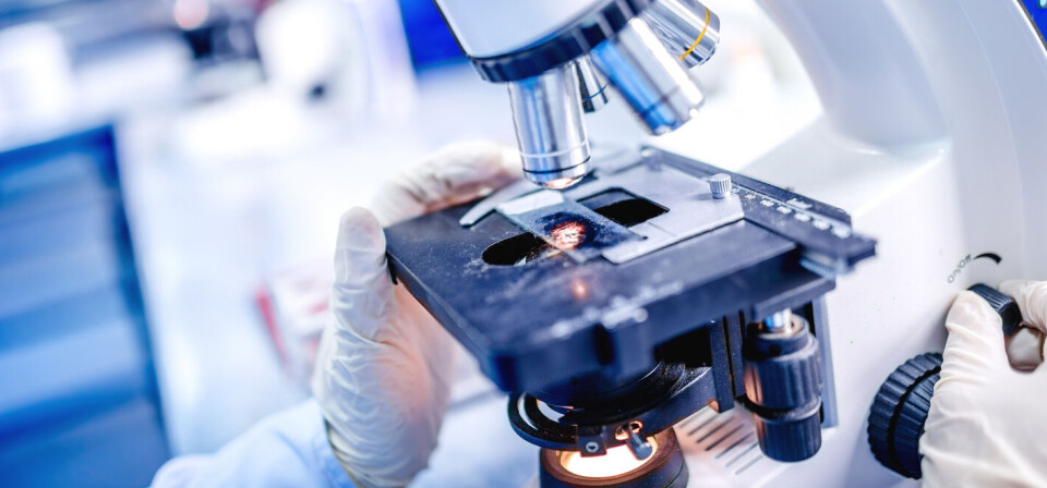Foto: Thinkstock
