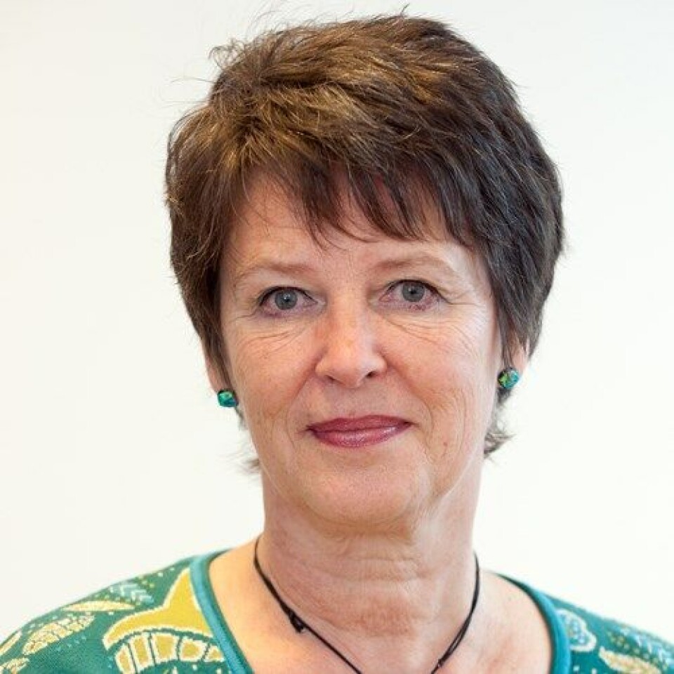 NY DIREKTØR: Karin Straume er ny direktør for divisjon kompetanse og personell i Helsedirektoratet
Foto: Arkiv