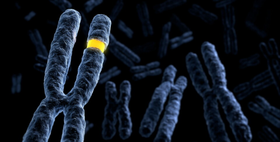 FIKK GENFEIL: To hiv-pasienter, som også var kreftsyke, har nå fått benmarg fra donorer med en sjelden genmutasjon og blitt virusfrie. Foto: Illustrasjonsfoto/Getty Images