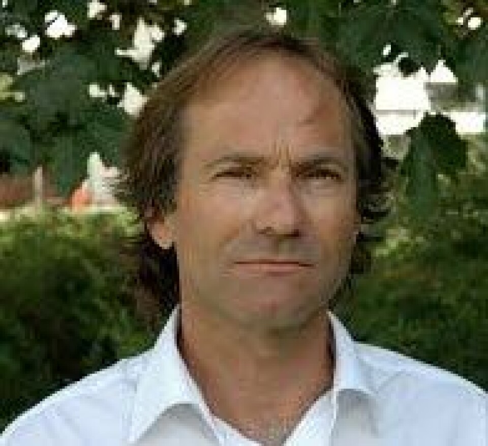 Stein Knardahl