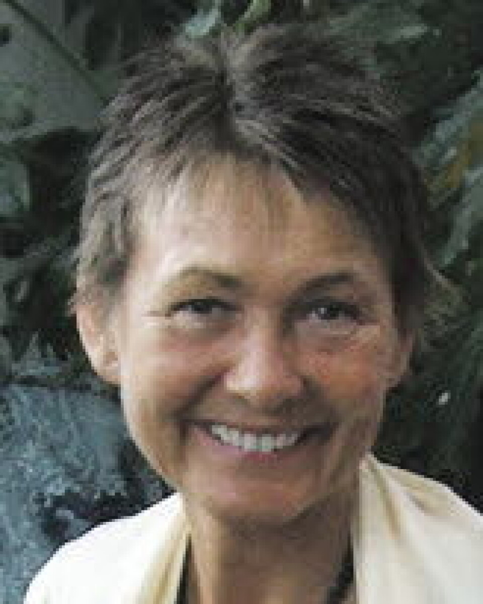 Wenche Iglebekk