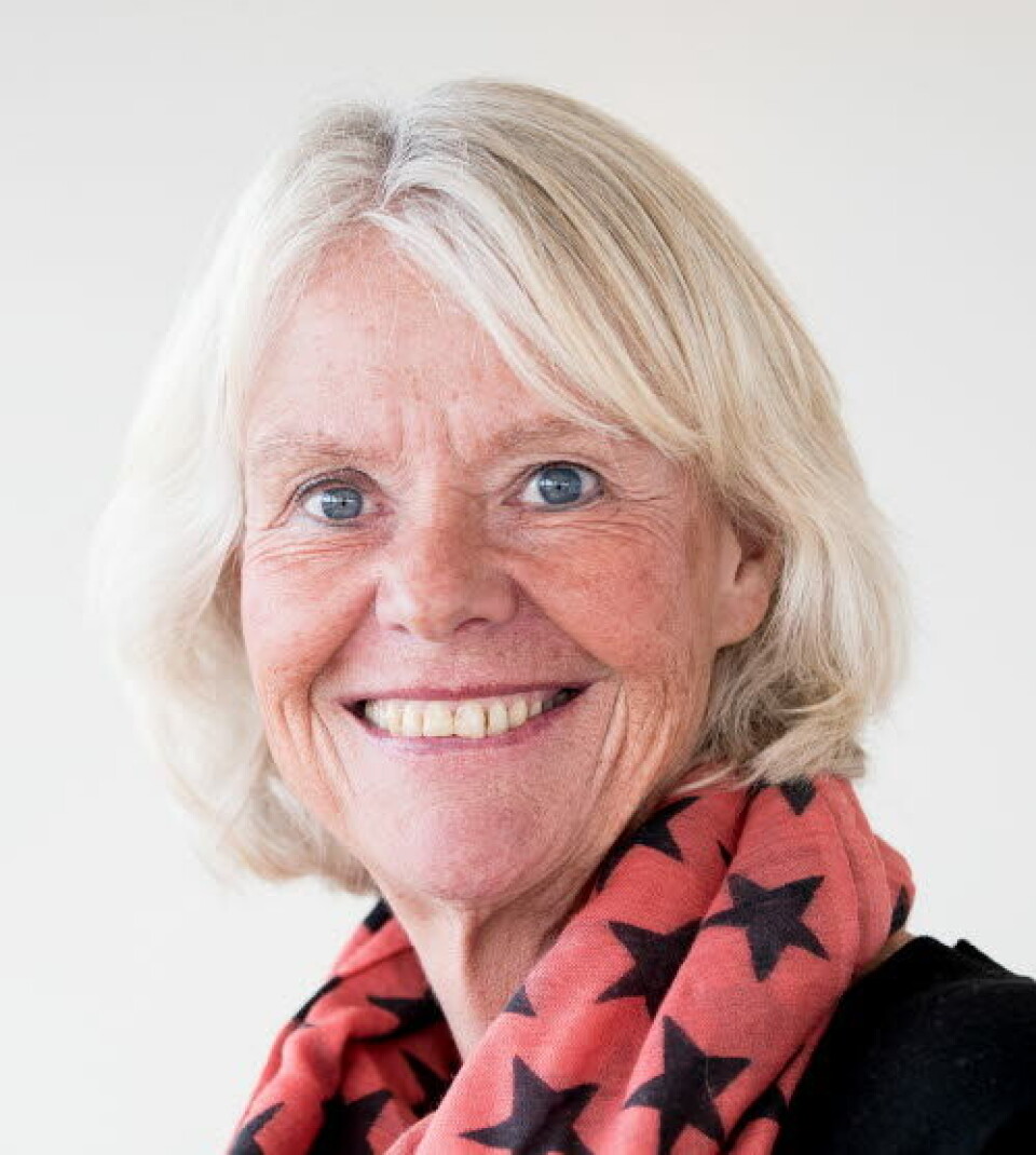 Anne Hafstad er journalist og kommentator i Dagens Medisin
Foto: Vidar Sandnes