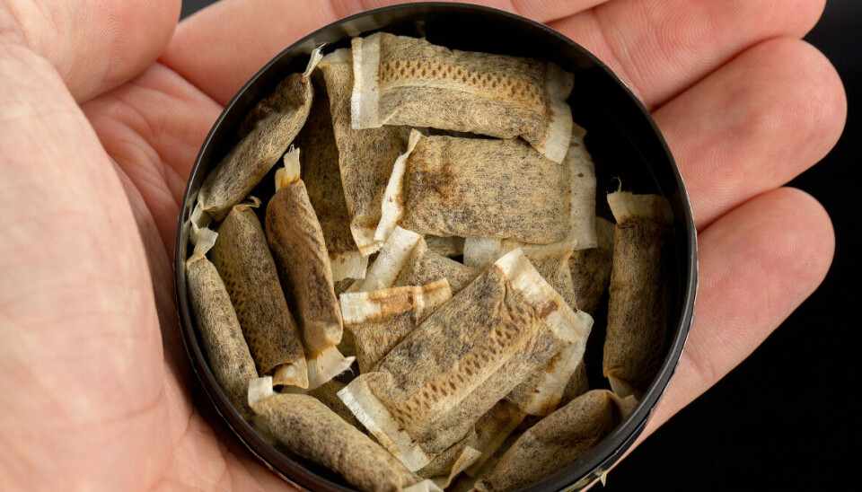 SAMMENHENG: Studien er utført av Folkehelseinstituttet, Kreftregisteret og Statens arbeidsmiljøinstitutt. De har gjennomgått all forskning som er gjort på snus og kreft. Foto: ThinkStock SAMMENHENG: Studien er utført av Folkehelseinstituttet, Kreftregisteret og Statens arbeidsmiljøinstitutt. De har gjennomgått all forskning som er gjort på snus og kreft. Foto: ThinkStock