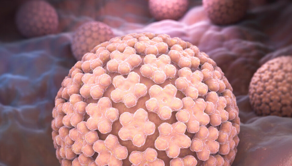 HPV: Humant papillomavirus (HPV) står for nær alle tilfeller av livmorhalskreft, men også mange andre krefttyper skyldes HPV. Illustrasjon: Colourbox Foto: