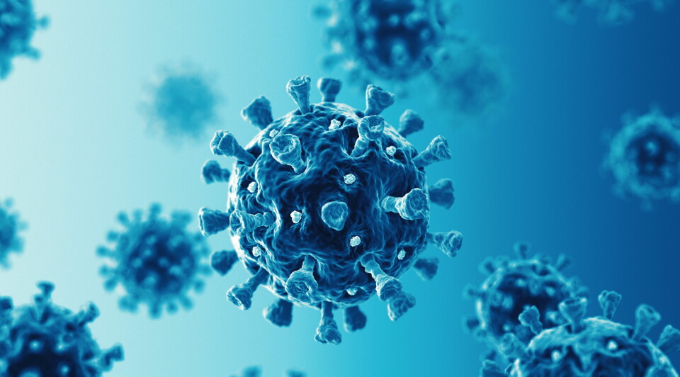 DOMINERER: Folkehelseinstituttet (FHI) skriver i en pressemelding at i uke 52 i 2021, utgjorde omikron-varianten av SARS-CoV-2 viruset 65,4 prosent av alle smittetilfeller som ble screenet eller sekvensert. Illustrasjonsbilde av SARS-CoV-2-viruset: Getty Images Foto: