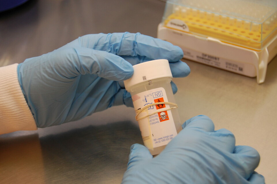 Nærbilde av HPV-test. Foto: Arkiv