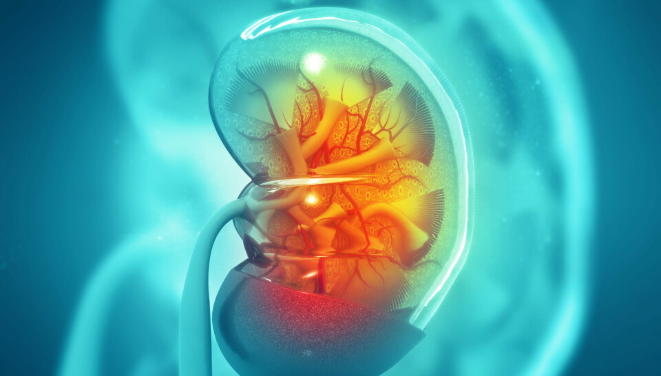 GODKJENT: Dapagliflozin (Forxiga), har blitt godkjent for bruk i EU. Foto: Getty Images