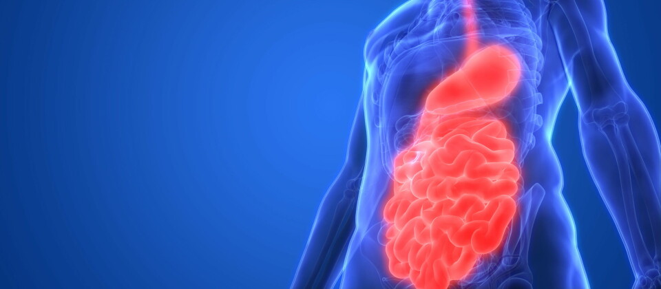 SKIFTE: - Et bemerkelsesverdig paradigmeskifte innen behandlingen, sier direktør for FDAs Oncology Center of Excellence Richard Pazdur, i en pressemelding. Illustrasjonsfoto: Getty Images Foto: