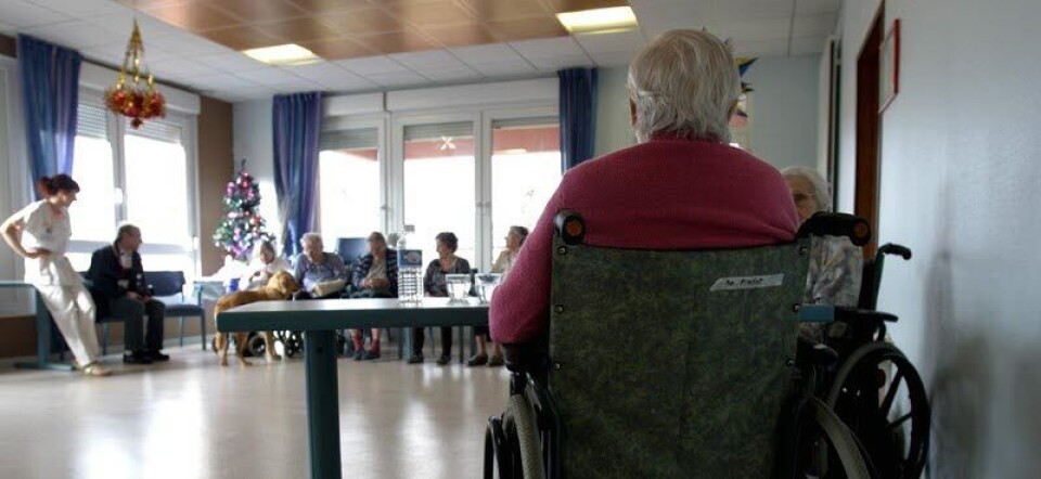 INN MED LIVSGLEDEN! – Vi må forhindre at aldersangsten biter seg fast hos flere. Det må kommuniseres tydelig at det finnes håp om en god alderdom, skriver artikkelforfatteren. INN MED LIVSGLEDEN! – Vi må forhindre at aldersangsten biter seg fast hos flere. Det må kommuniseres tydelig at det finnes håp om en god alderdom, skriver artikkelforfatteren.