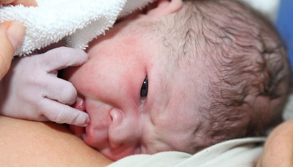 KRITIKK: Helsedirektoratet har også tidligere fått kritikk for at nasjonale faglige retningslinjer ikke overholder internasjonale standarder for troverdige retningslinjer, skriver kronikkforfatterne. Illustrasjonsbilde: Colourbox