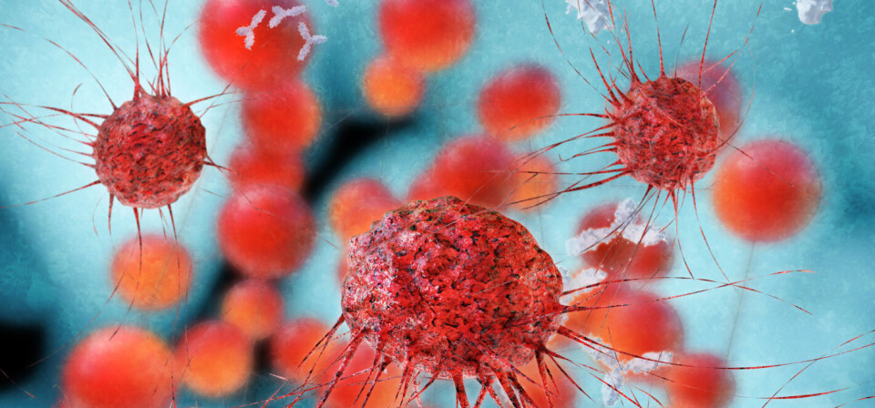 KREFTCELLER: PD1-hemmere er én type immunterapi som brukes for å styrke immunapparatets kamp mot kreftcellene. Illustrasjon: Thinkstock Foto: