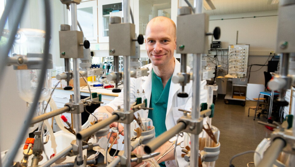 LOVENDE RESULTATER: Førsteamanuensis Jan Magnus Aronsen ved UiO vil undersøke om et mislykket legemiddel for hjernen kan fungere bra som forebyggende medisin mot hjertestans. De foreløpige forsøkene er svært positive. Foto: Yngve Vogt/UiO LOVENDE RESULTATER: Førsteamanuensis Jan Magnus Aronsen ved UiO vil undersøke om et mislykket legemiddel for hjernen kan fungere bra som forebyggende medisin mot hjertestans. De foreløpige forsøkene er svært positive. Foto: Yngve Vogt/UiO