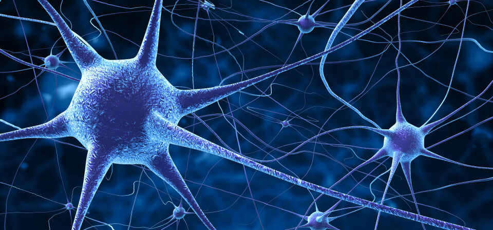 Foto: Thinkstock