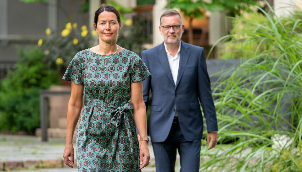 RUSTER OPP: Kruse Larsens ansettelse av Mette Nilstad er startskuddet på en stor satsing på rådgivning til både offentlige og private aktører i helsesektoren. Jan-Erik Larsen, daglig leder, er glad for å ha funnet personen som skal lede dette arbeidet. Foto: Espen Solli