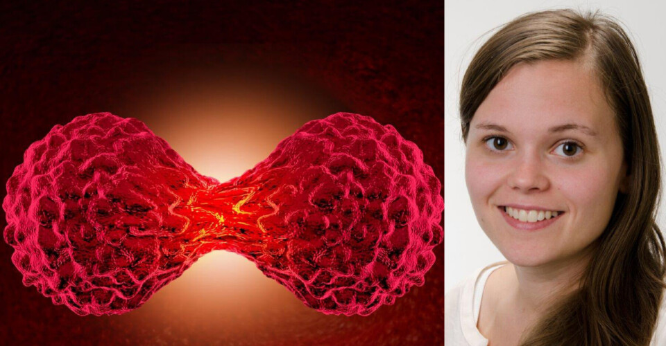 OMPROGRAMMERING: Stipendiat Sissel Elisabeth Dyrstad ved Universitetet i Bergen (UiB) har i sitt doktorgradsarbeid sett på hvilken rolle metabolsk omprogrammering har i forandringsevnen til kreftceller. Foto: Colorbox/Anne Sidsel Herdlevær, UiB