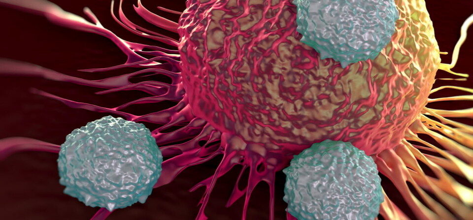 Atezolizumab er en PD-L1 hemmer som gjør at kroppens eget immunforsvar kan gjenkjenne, angripe og drepe kreftcellene. Foto: Thinkstock