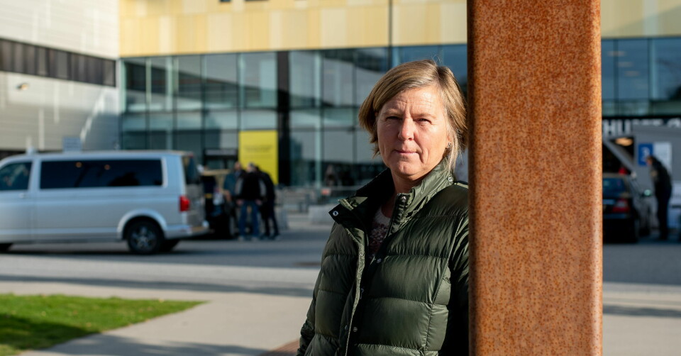 SEIER: Anne-Karin Rime i Legeforeningen mener at legene har fått fullt gjennomslag i saken, og at det også er en seier for pasientsikkerheten.  Foto: Vidar Sandnes