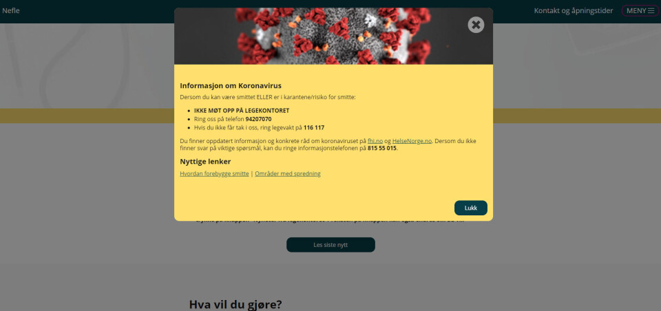 OPPGRADERT: Nettsiden Nefle er oppdatert og blir gratis for alle i et halvt år som følge av koronasituasjonen. Foto: Skjermbilde