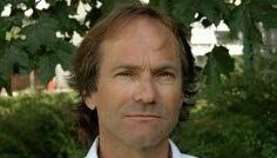 Stein Knardahl er professor emeritus, dr.med. og spesialrådgiver ved Statens arbeidsmiljøinstitutt (Stami)