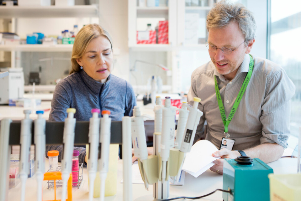 I FRONT: OUS-forskerne Karl-Johan Malmberg og Johanna Olweus utvikler nye former for donorbasert immunterapi i laboratoriet på Radiumhospitalet.

 Foto: Anette Andresen