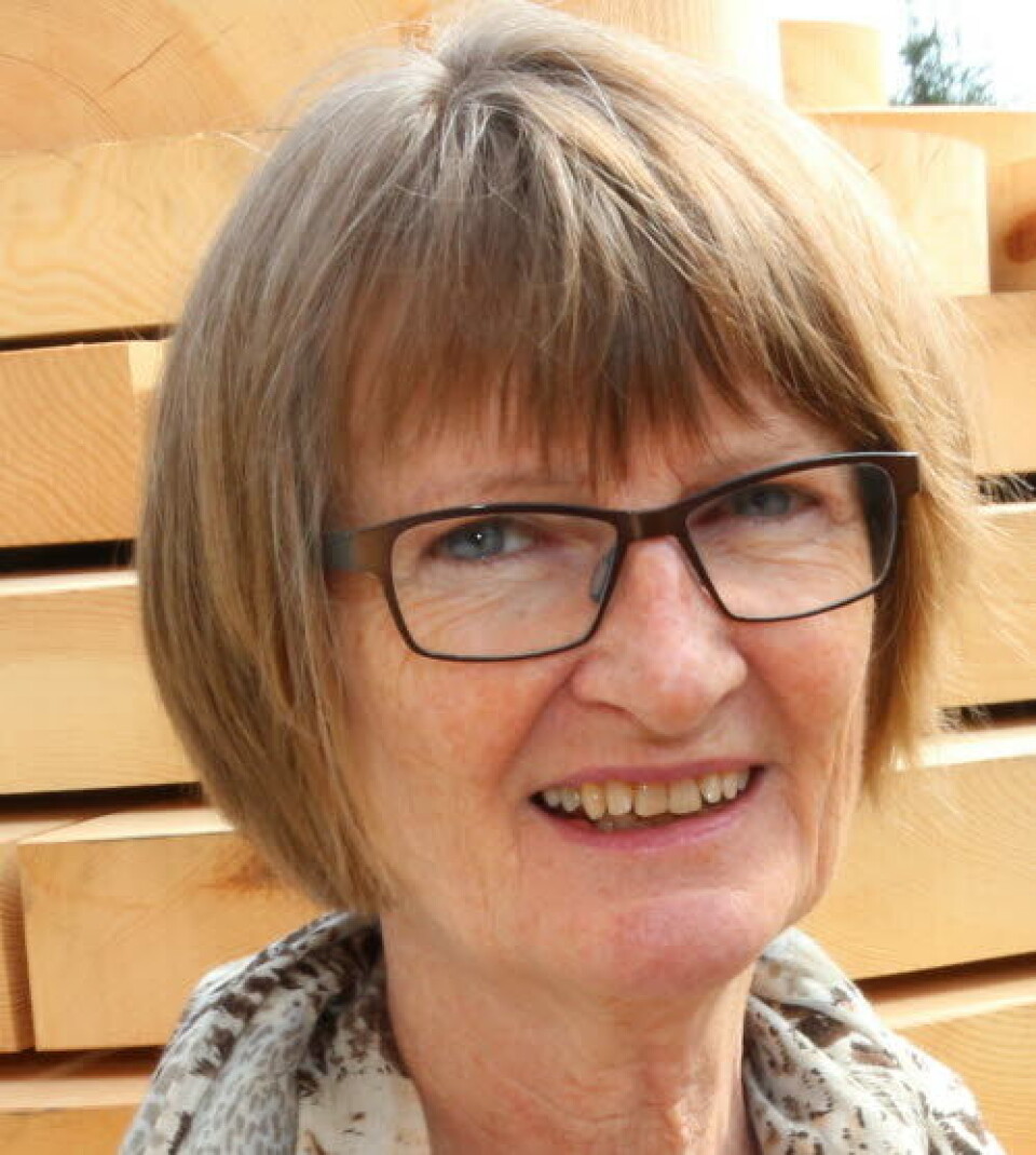 Professor Ragnhild Hellesø, Senter for omsorgsforskning, NTNU, og Avdeling for sykepleievitenskap, UiO