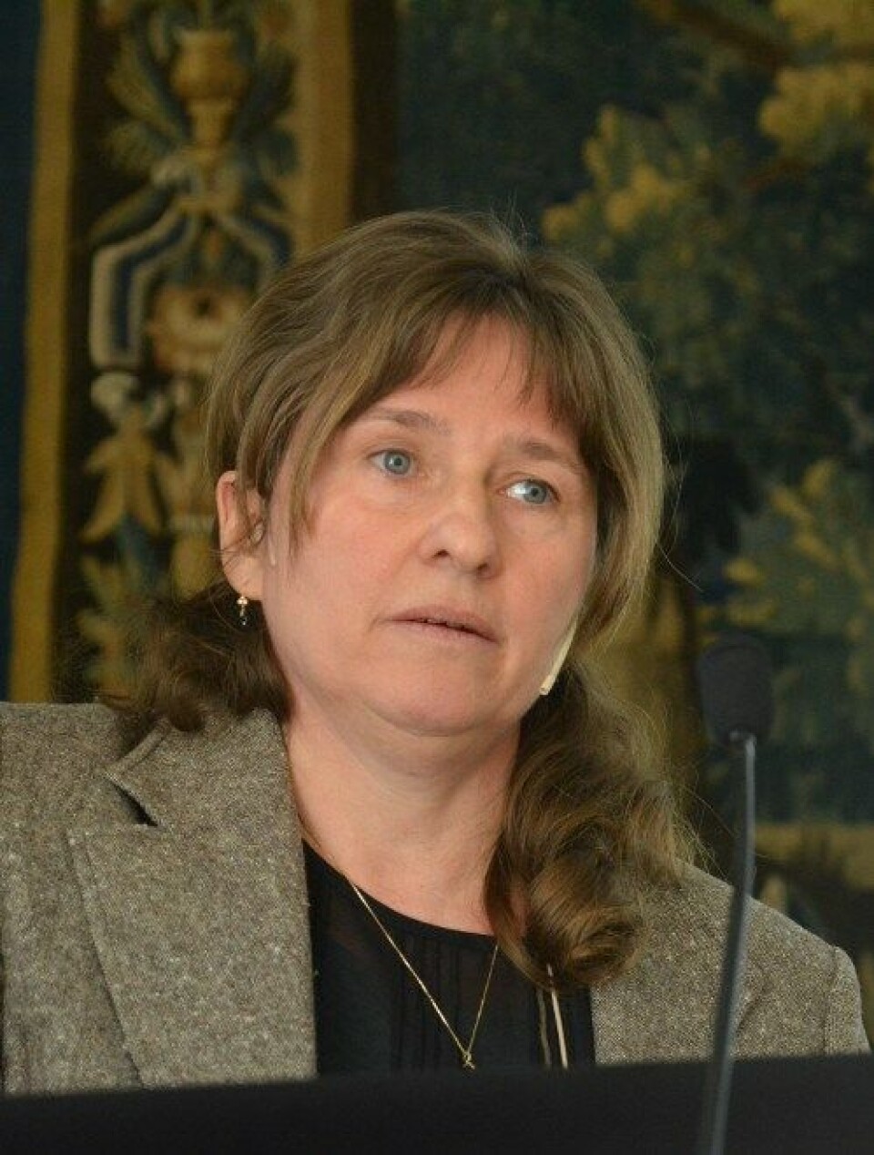 KRISE: – Det må ofte en krise til for å få til en endring i arbeidet med pasientsikkerhet, sier forsker og overlege ved Akershus universitetssykehus, Ellen Tveter Deilkås. Foto: Lasse Moe KRISE: – Det må ofte en krise til for å få til en endring i arbeidet med pasientsikkerhet, sier forsker og overlege ved Akershus universitetssykehus, Ellen Tveter Deilkås. Foto: Lasse Moe