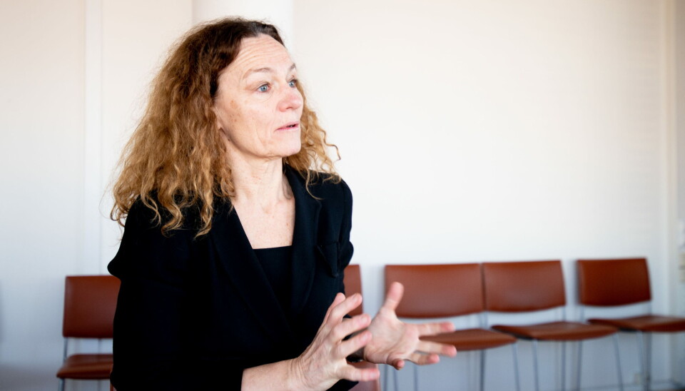 TRENGER AVKLARINGER: – Erfaringen tilsier behov for tydelig rollefordeling i kriser blant etater i den sentrale forvaltningen, uttaler FHI-direktør Camilla Stoltenberg. Foto: Vidar Sandnes TRENGER AVKLARINGER: – Erfaringen tilsier behov for tydelig rollefordeling i kriser blant etater i den sentrale forvaltningen, uttaler FHI-direktør Camilla Stoltenberg. Foto: Vidar Sandnes