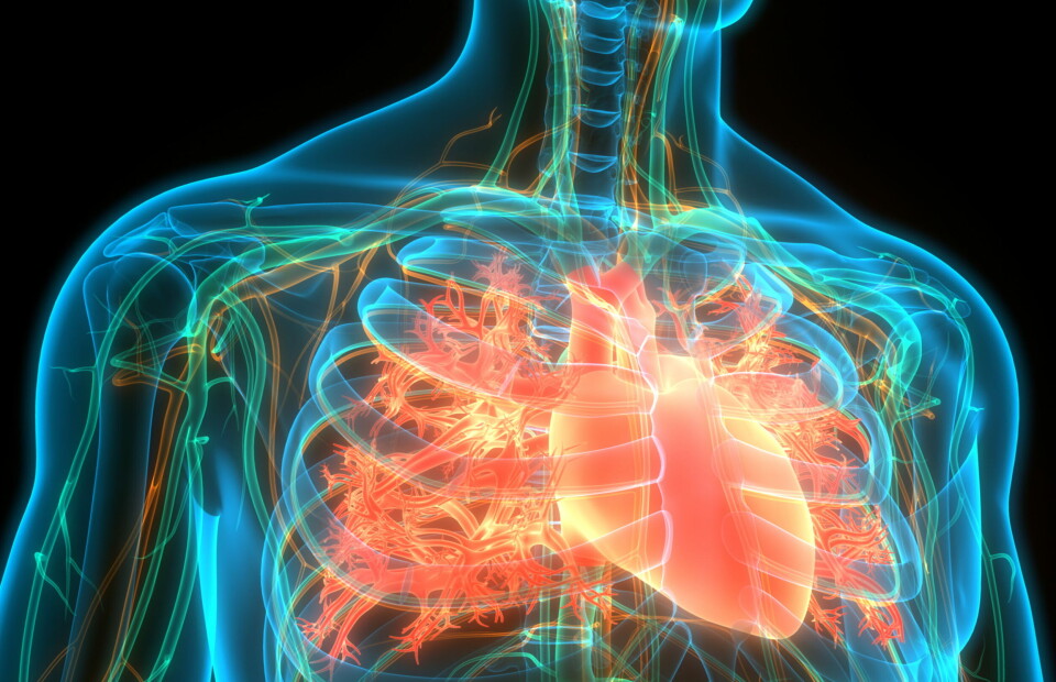 RESULTATER: Fullstendige resultater fra studien er planlagt å bli presentert på European Society of Cardiology (ESC) kongressen 27. august. Illustrasjonsbilde: Getty Images Foto: RESULTATER: Fullstendige resultater fra studien er planlagt å bli presentert på European Society of Cardiology (ESC) kongressen 27. august. Illustrasjonsbilde: Getty Images Foto: