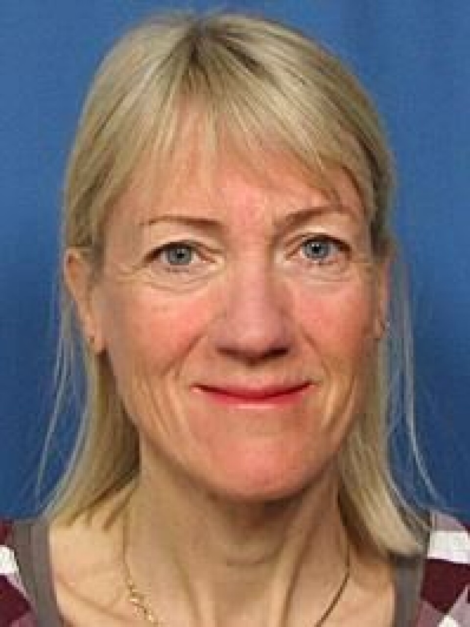 – Mors jodinntak ser ikke ut til å være nært knyttet til om hun har et sunt kosthold, sier forsker Anne Lise Brantsæter.
Foto: FHI