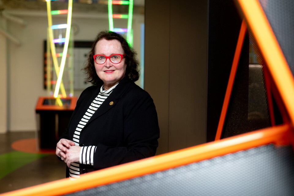 KLASSEFORSKJELL: SKDEs analyse viser at det i perioden 2019–2021 var betydelige forskjelle mellom kjønnene i bruk av ekkokardiografi fra 75 år og oppover. Eva Gerdts mener forskjellen viser at det er klasseforskjell i oppfølging av kvinner og menn med hjertesykdom i Norge. Foto: Vidar Sandnes Foto: KLASSEFORSKJELL: SKDEs analyse viser at det i perioden 2019–2021 var betydelige forskjelle mellom kjønnene i bruk av ekkokardiografi fra 75 år og oppover. Eva Gerdts mener forskjellen viser at det er klasseforskjell i oppfølging av kvinner og menn med hjertesykdom i Norge. Foto: Vidar Sandnes Foto: