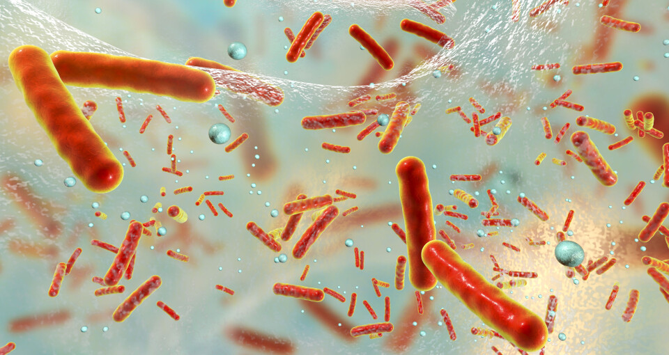 REDUKSJON: Målet om 30 prosent redusert bruk av antibiotika i samfunnet ble nådd i 2020 og 2021. Illustrasjonsfoto: Getty Images REDUKSJON: Målet om 30 prosent redusert bruk av antibiotika i samfunnet ble nådd i 2020 og 2021. Illustrasjonsfoto: Getty Images